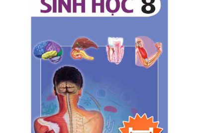 Phiếu học tập và hướng dẫn học môn Sinh học 8 (Tuần 10)